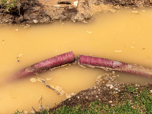 Best Carpet water damage restoration  in Seabrook Island, SC